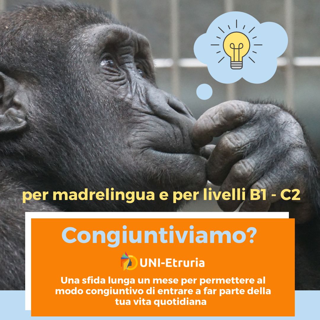 Tutto sul CONGIUNTIVO - Congiuntiviamo? Il miglior corso del web